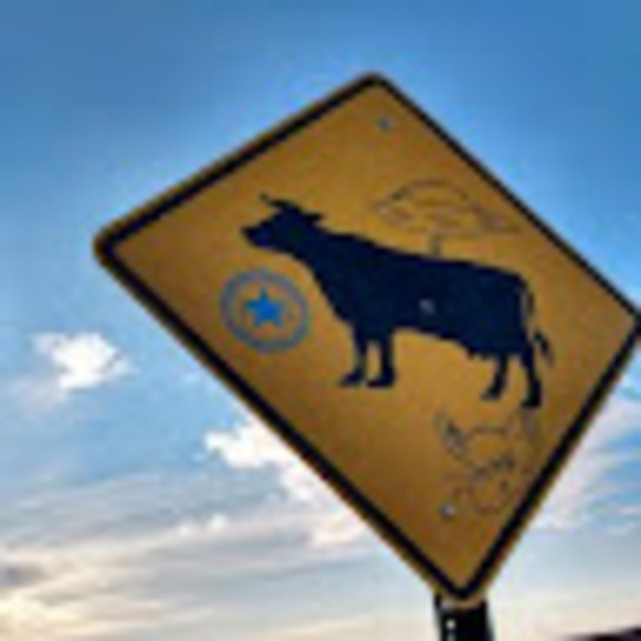 Meet your Posher, Thomas - Picture 1 of 1